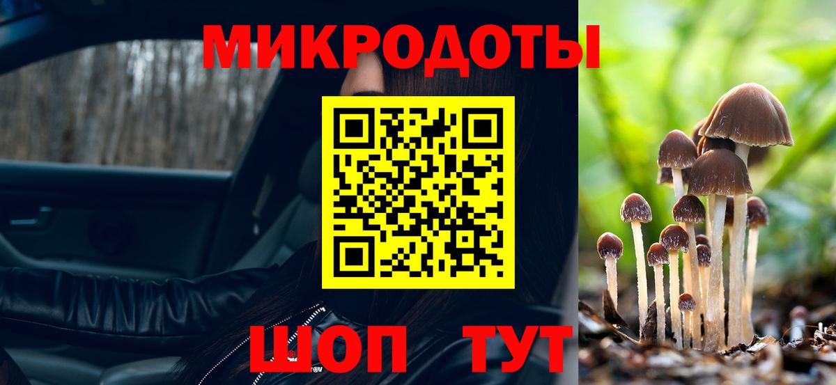 Псилоцибиновые грибы мицелий Киржач